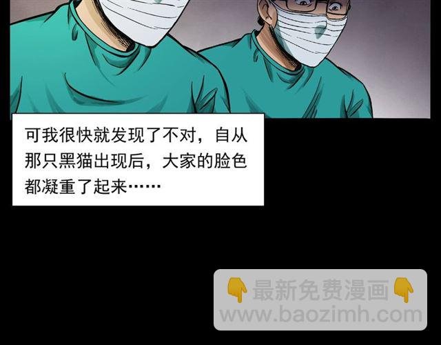 第159话 医院里的黑猫
