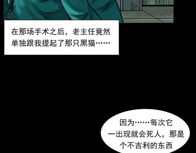 第159话 医院里的黑猫