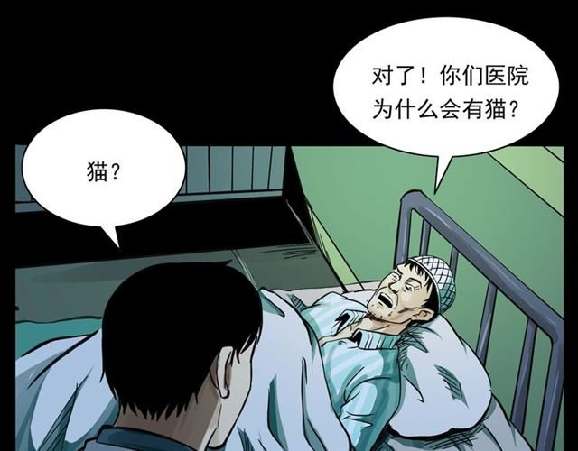 第159话 医院里的黑猫