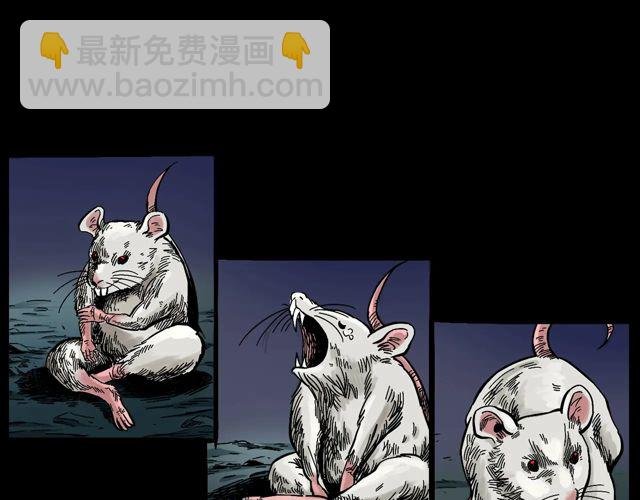 第170话 阎老九之盗墓贼