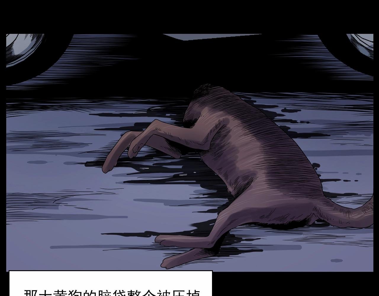 第185话 午夜场之偷狗