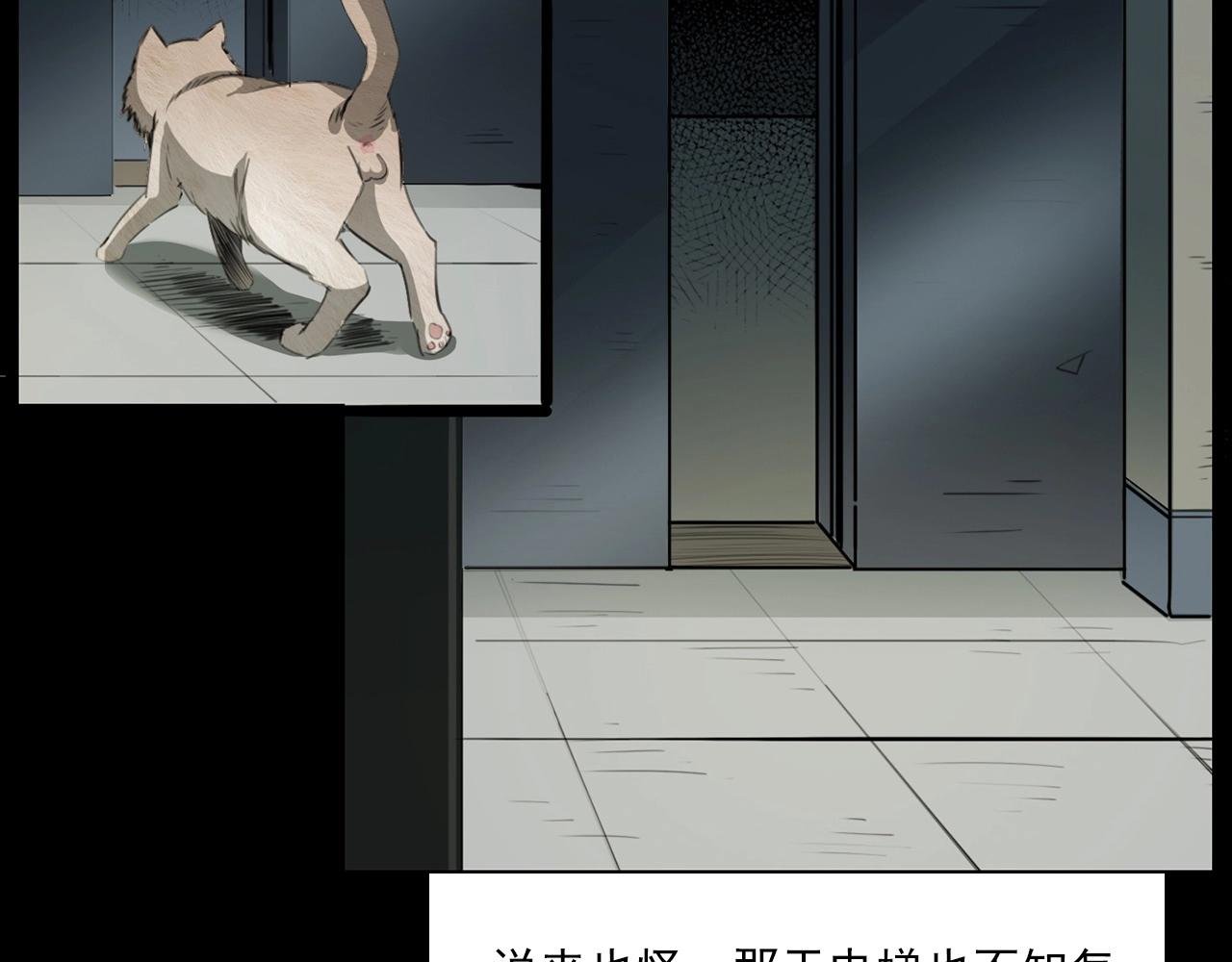 第212话 午夜场之停车场诡影