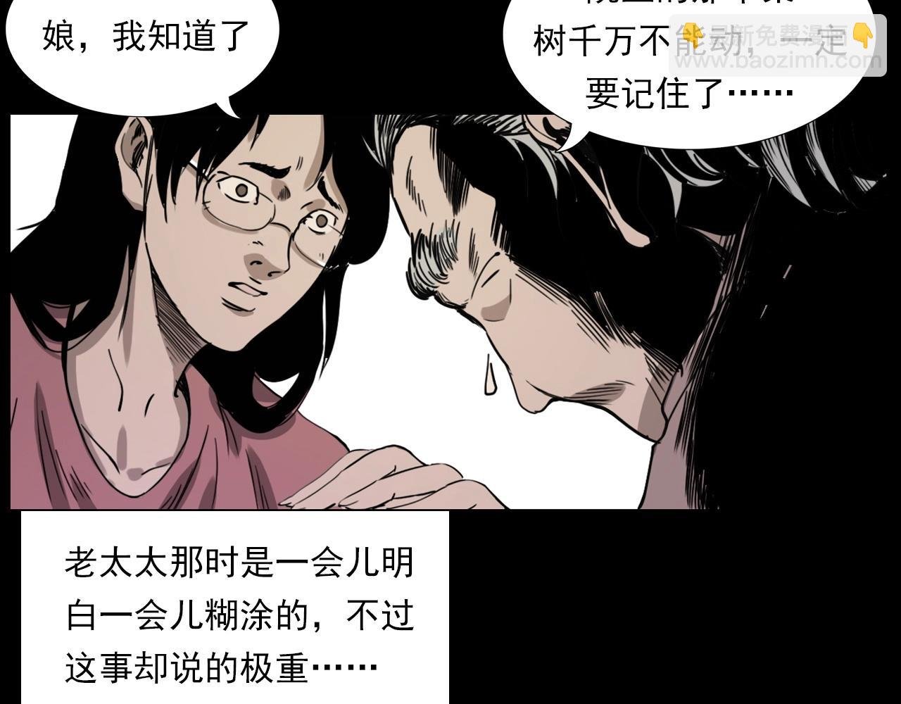 第226话 桑树