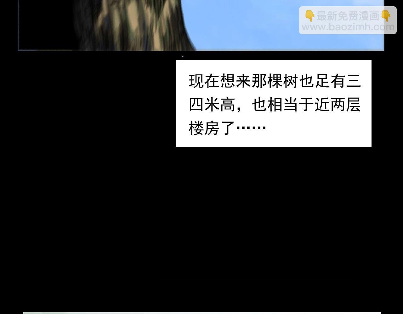 第245话 招魂词