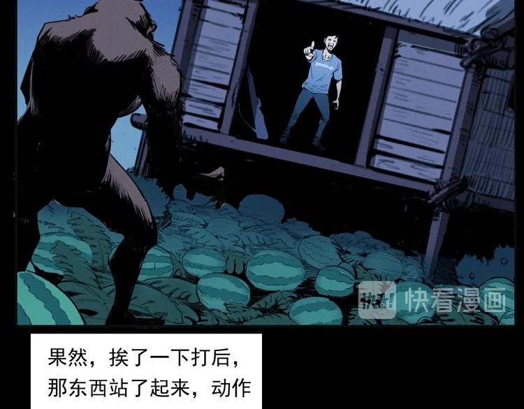 第279话 看瓜