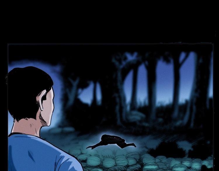 第279话 看瓜