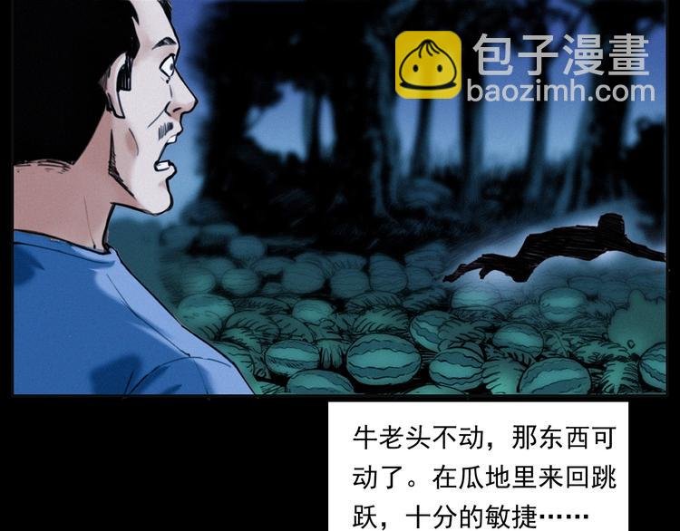 第279话 看瓜