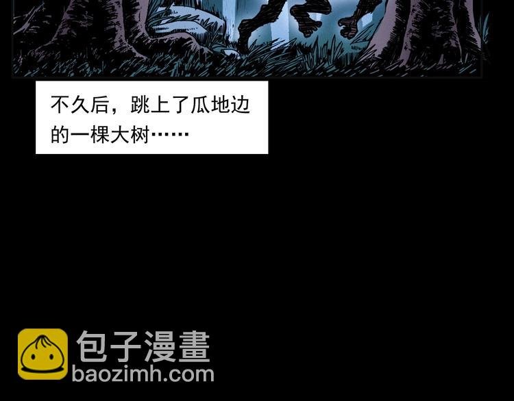 第279话 看瓜