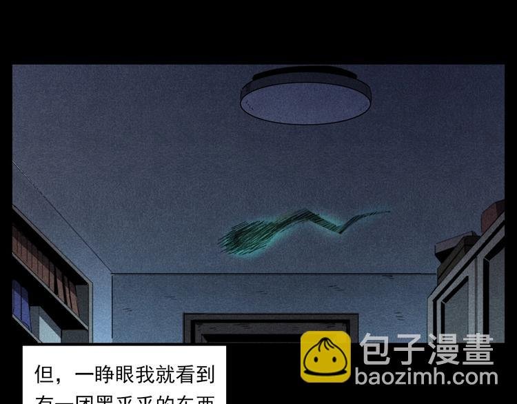 第287话 飞蚊症