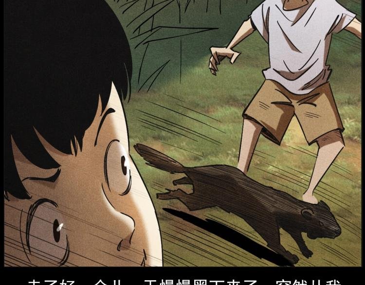 第297话 露天电影