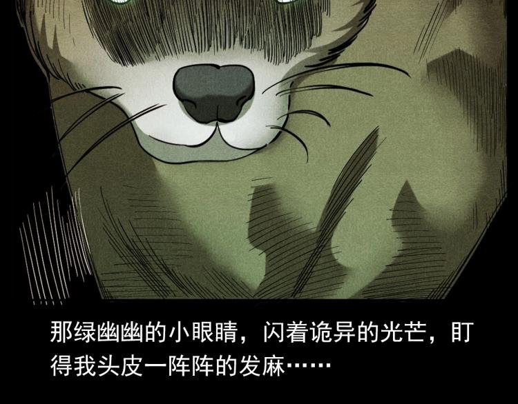 第297话 露天电影