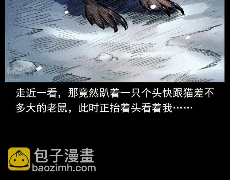 第307话 鼠恩
