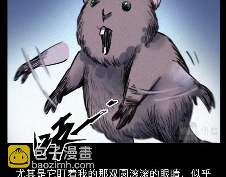 第307话 鼠恩