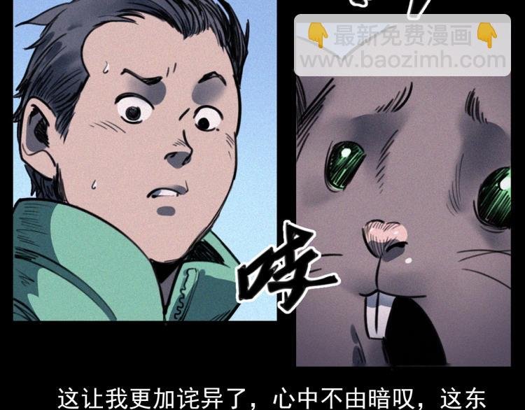 第307话 鼠恩