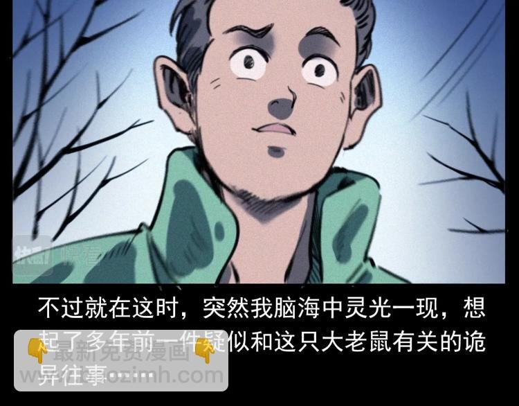 第307话 鼠恩