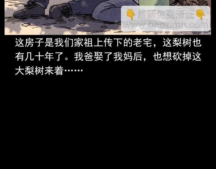 第308话 梨树