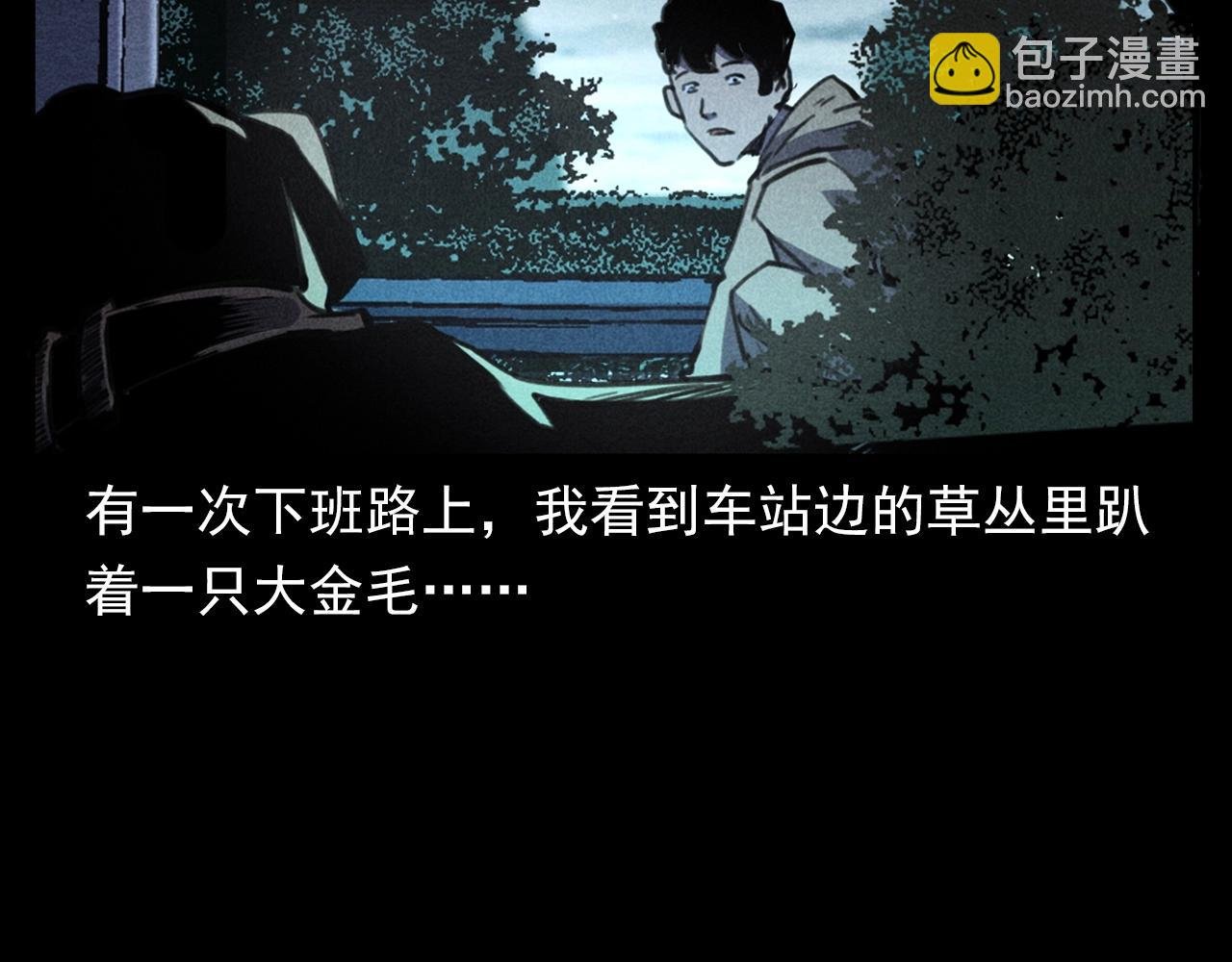 第352话 流浪狗