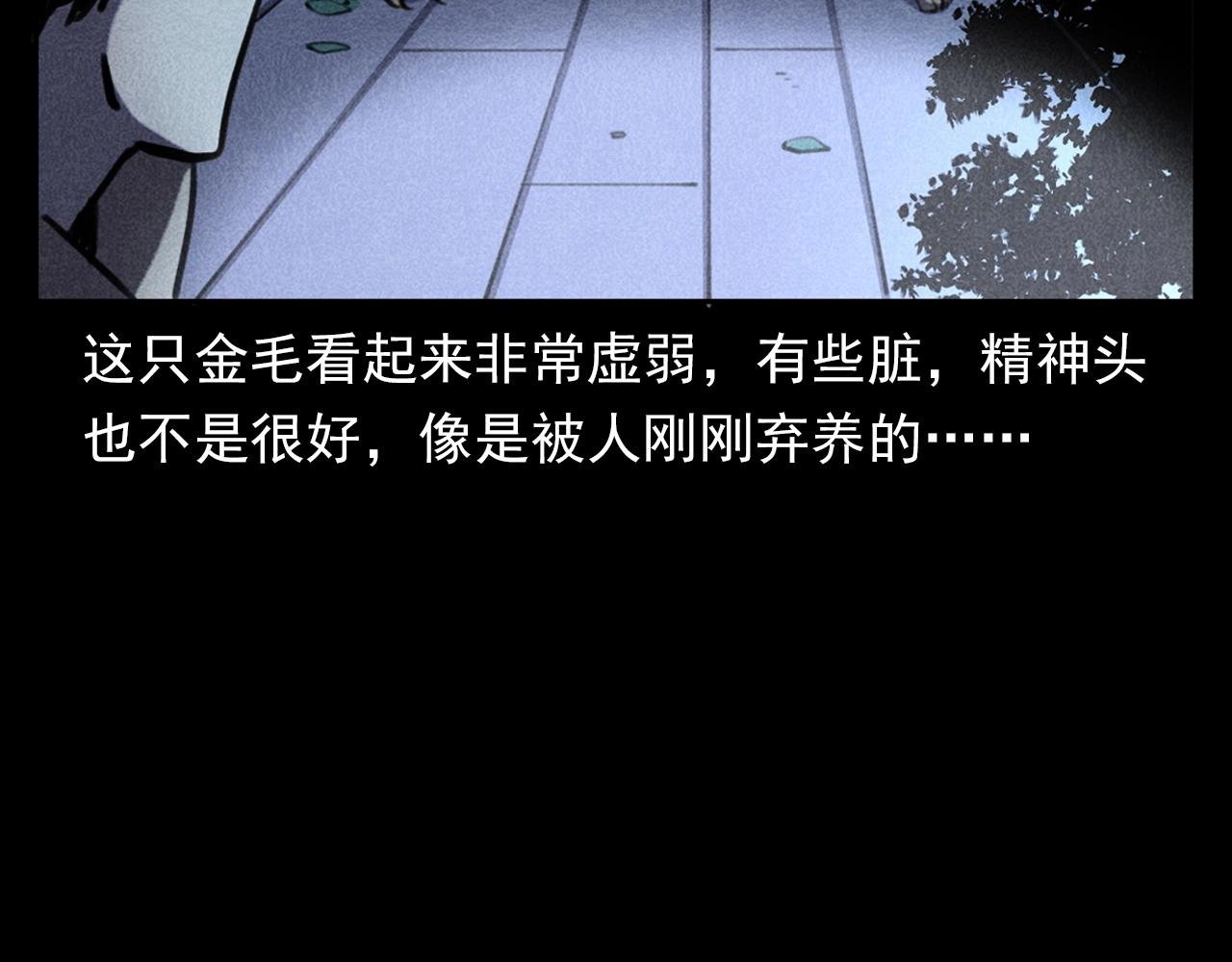 第352话 流浪狗