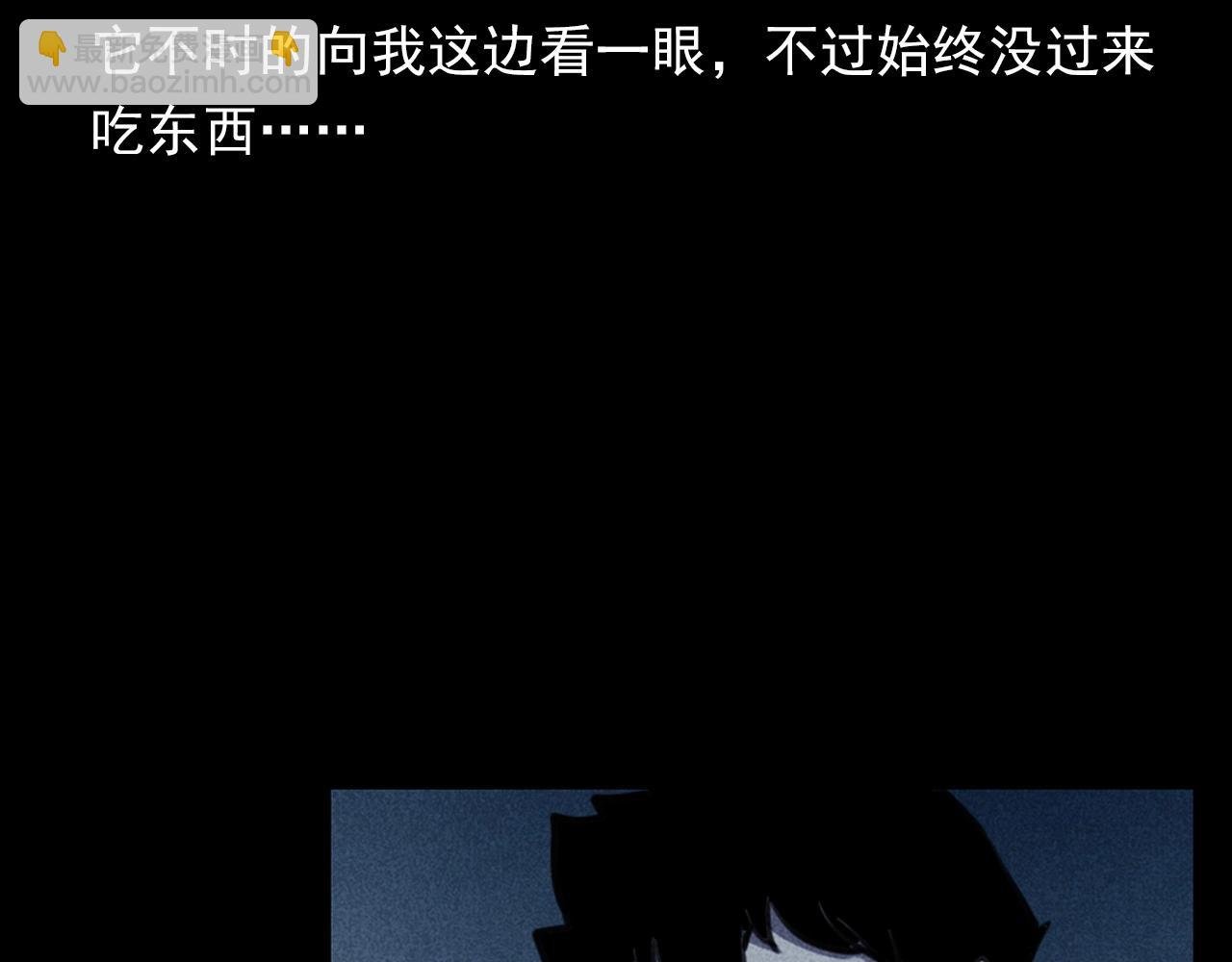 第352话 流浪狗