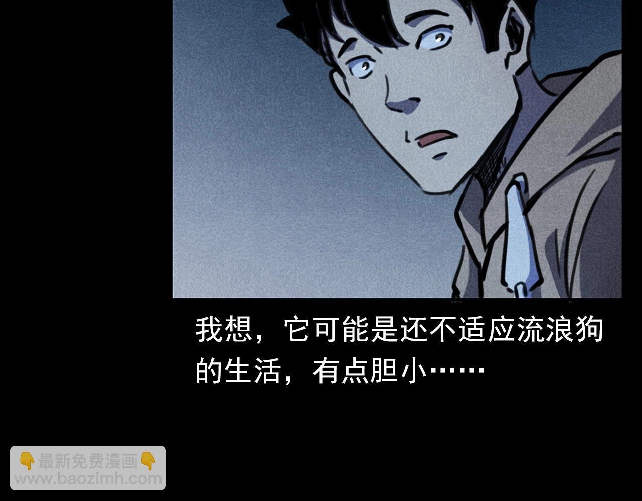 第352话 流浪狗