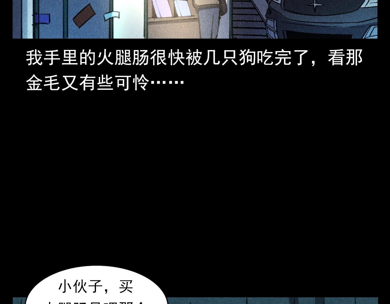 第352话 流浪狗