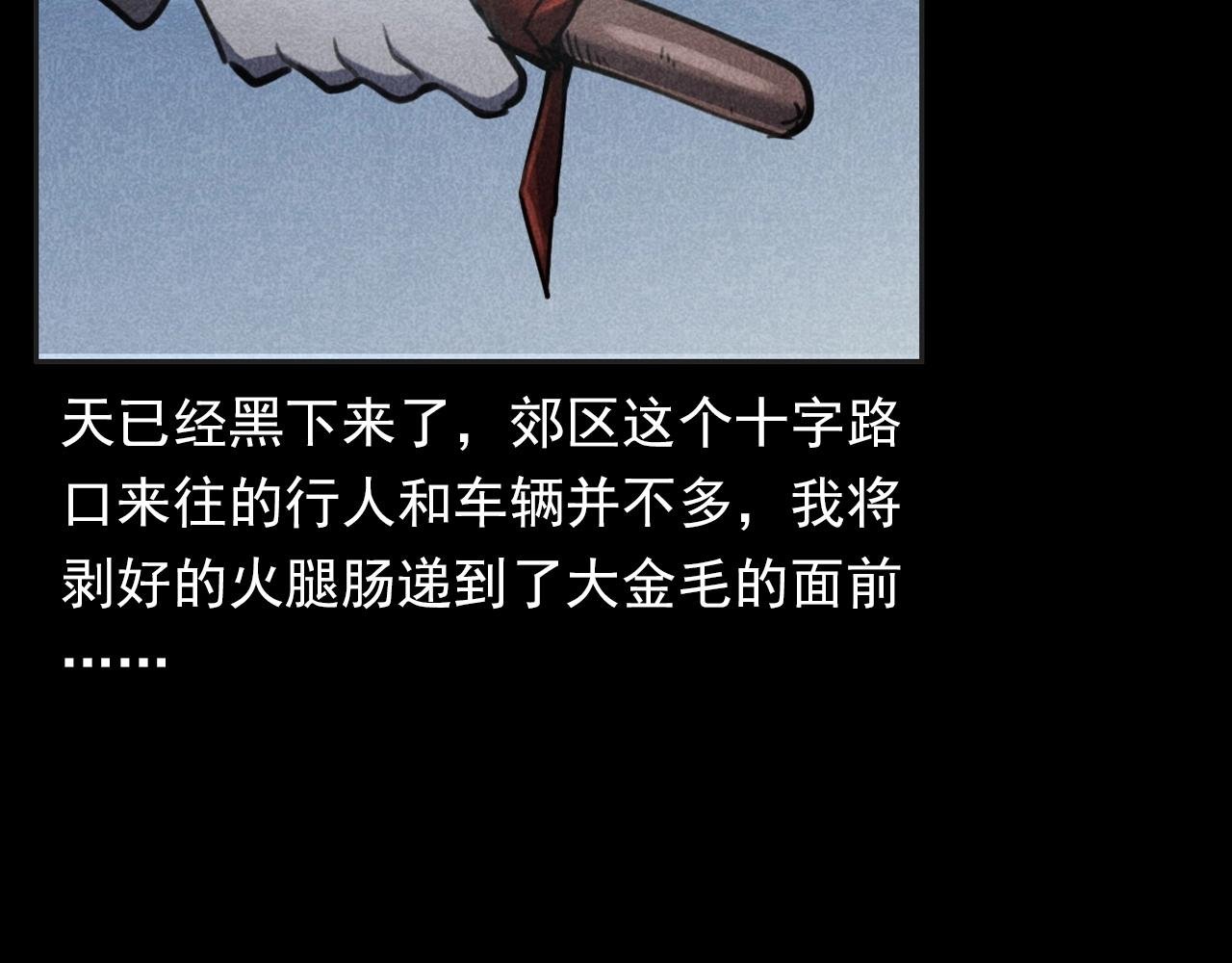 第352话 流浪狗