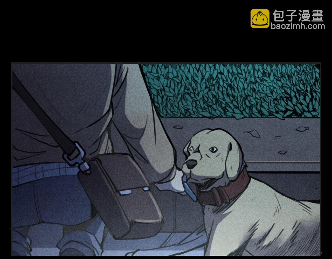 第352话 流浪狗