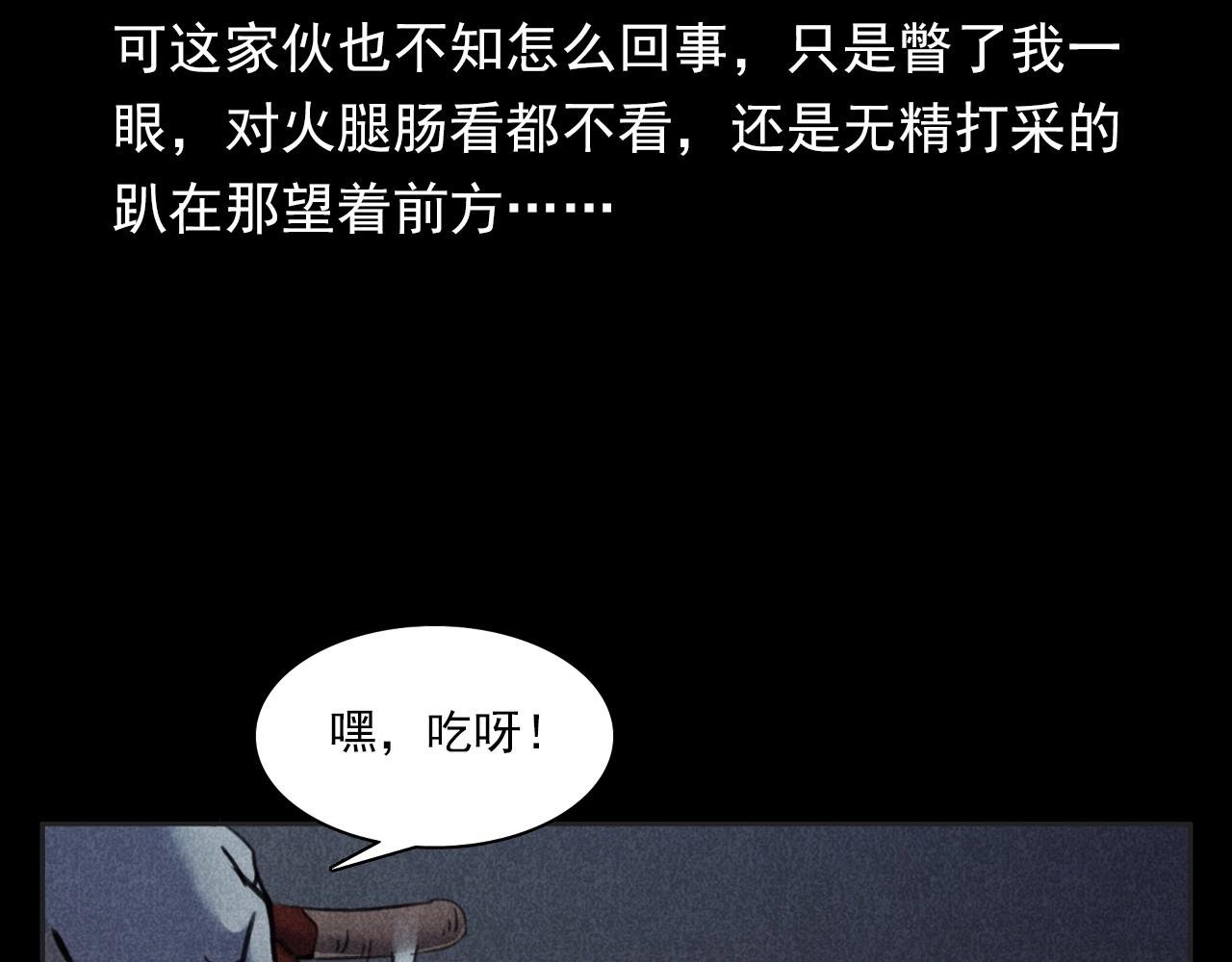 第352话 流浪狗