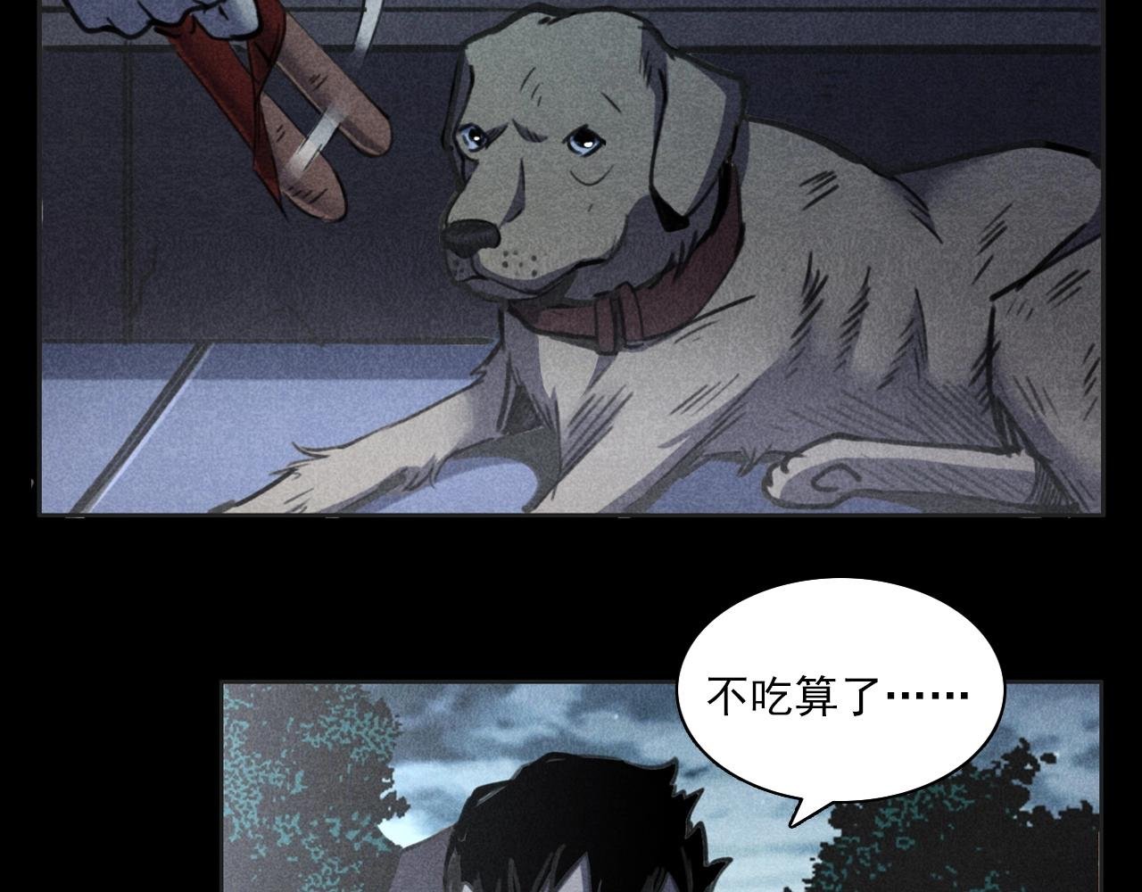 第352话 流浪狗