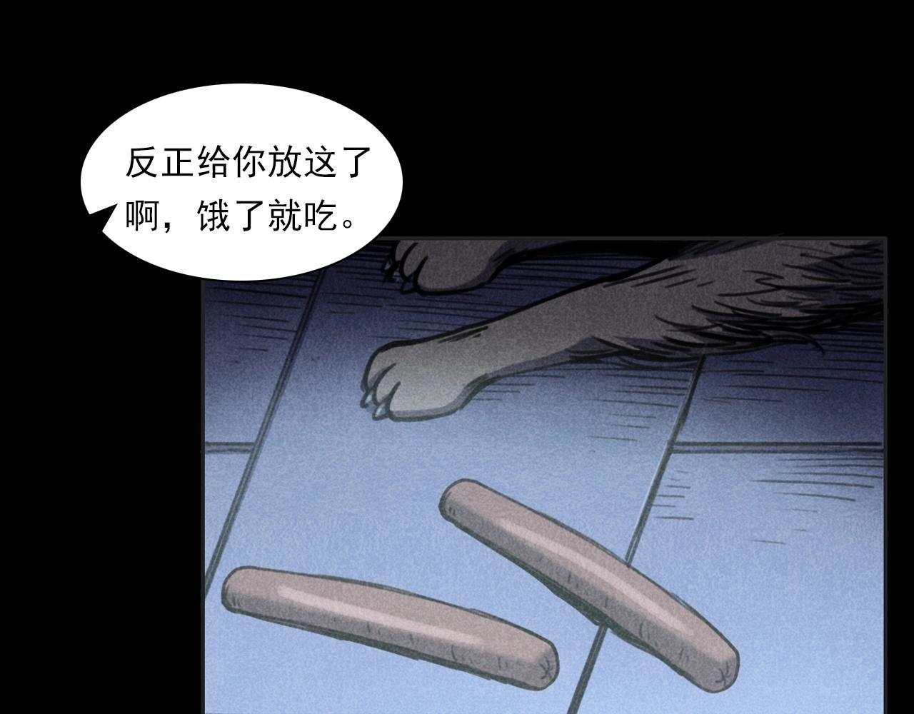 第352话 流浪狗