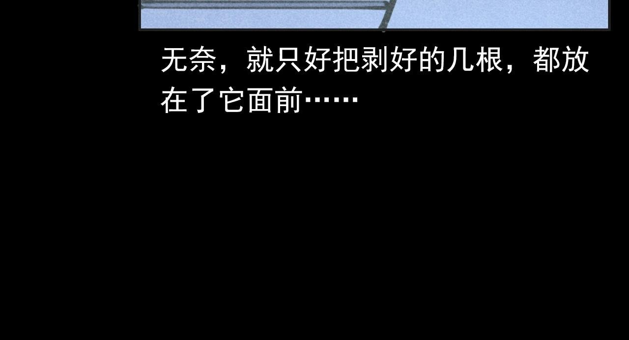第352话 流浪狗
