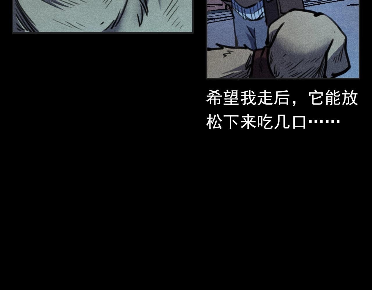 第352话 流浪狗