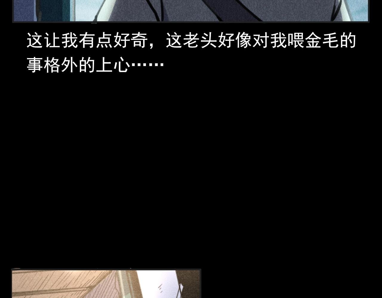 第352话 流浪狗