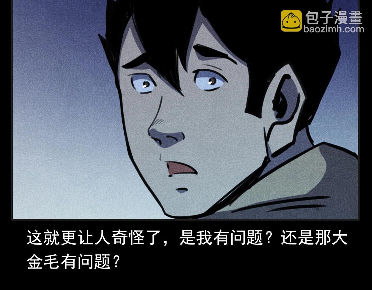 第352话 流浪狗