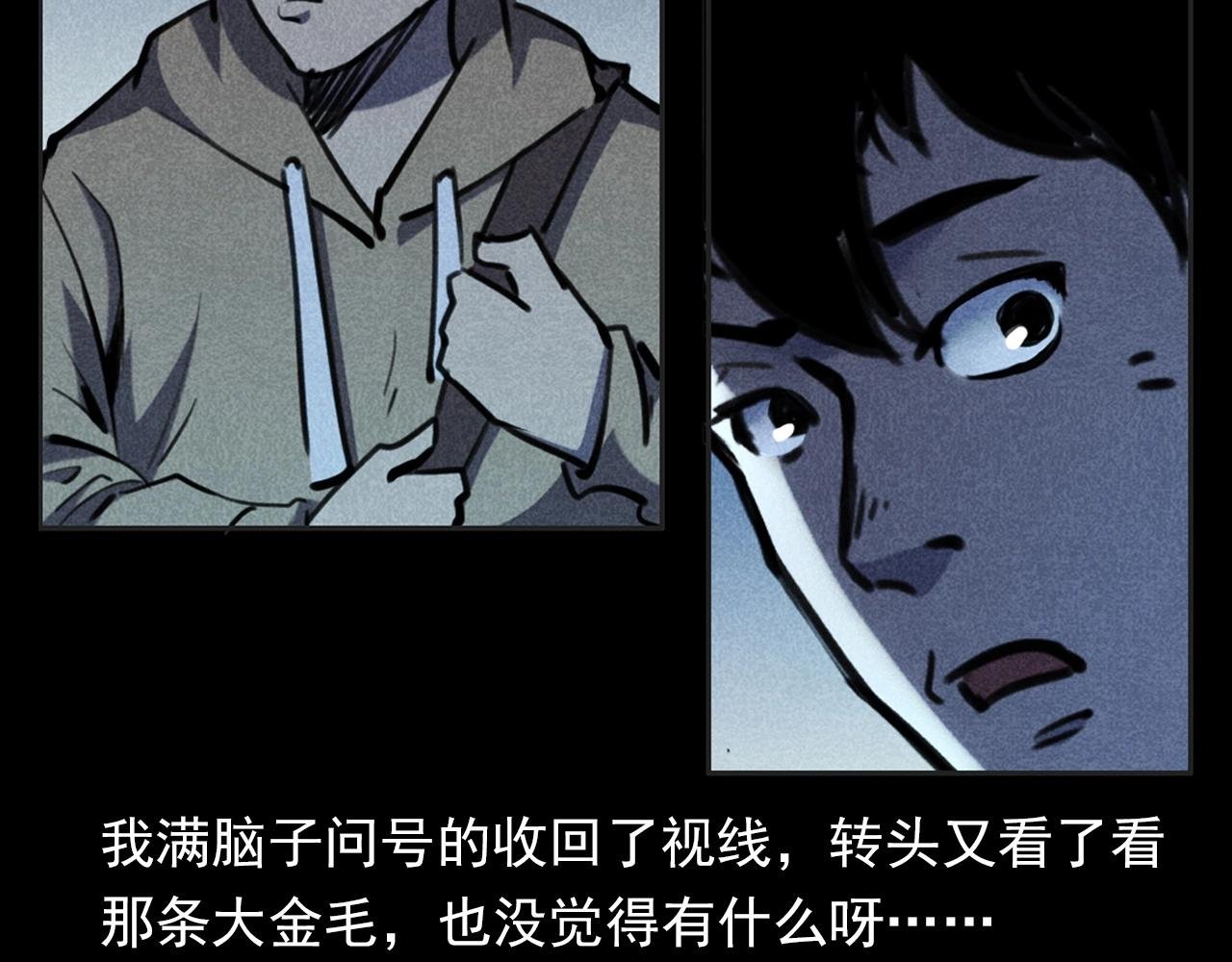 第352话 流浪狗