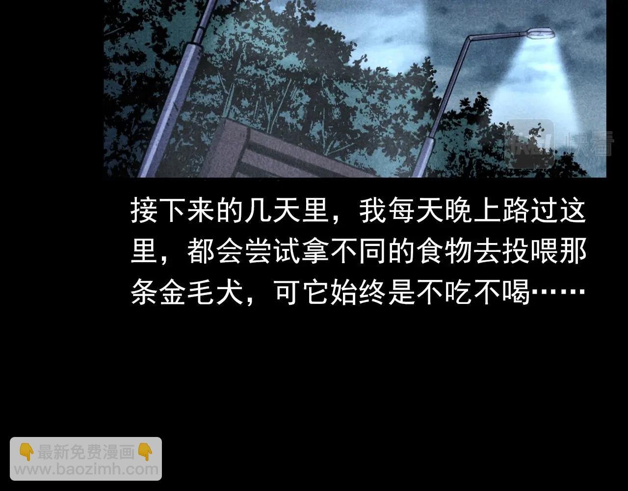 第352话 流浪狗