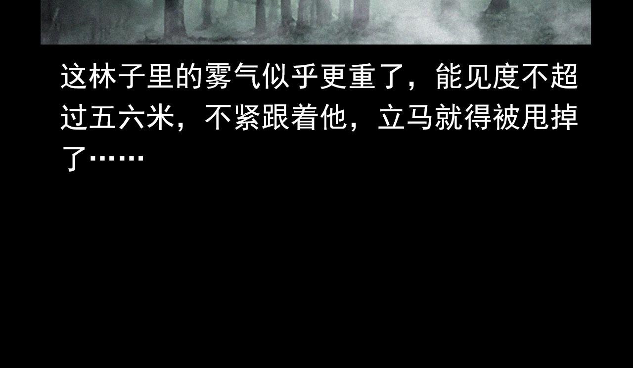 第358话 雾中仙