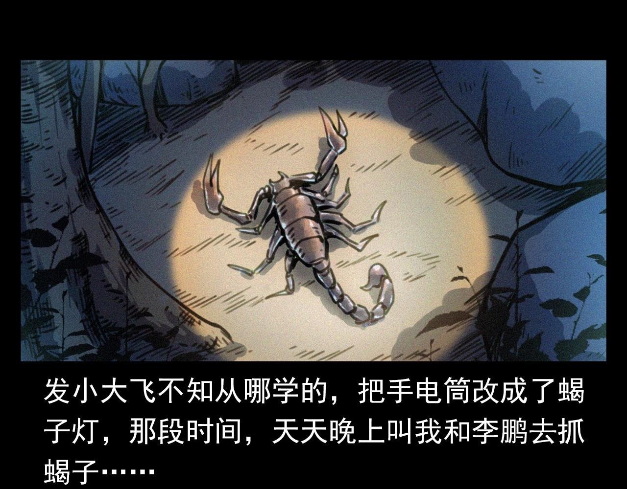 第370话 蝎子灯