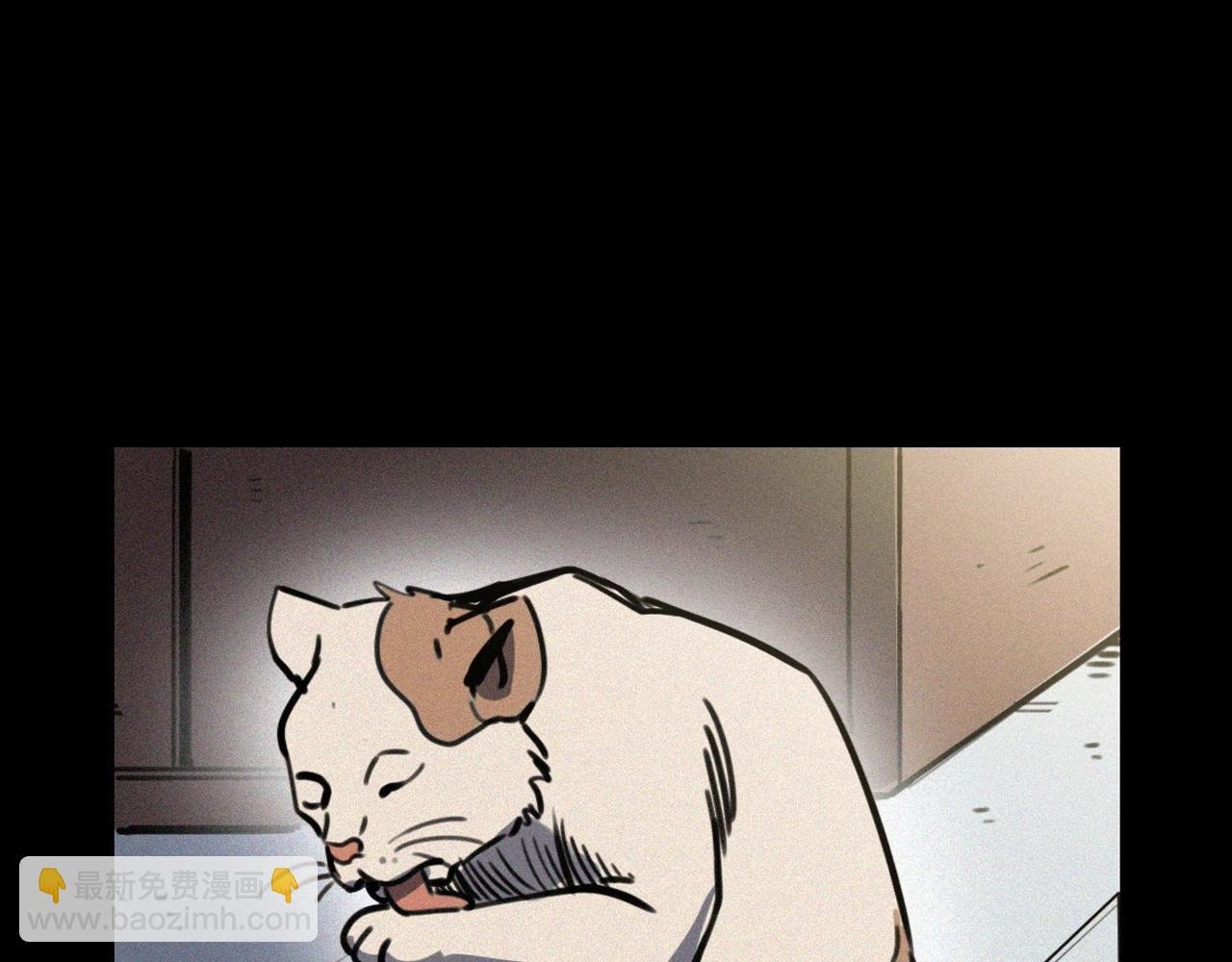 第378话 失手