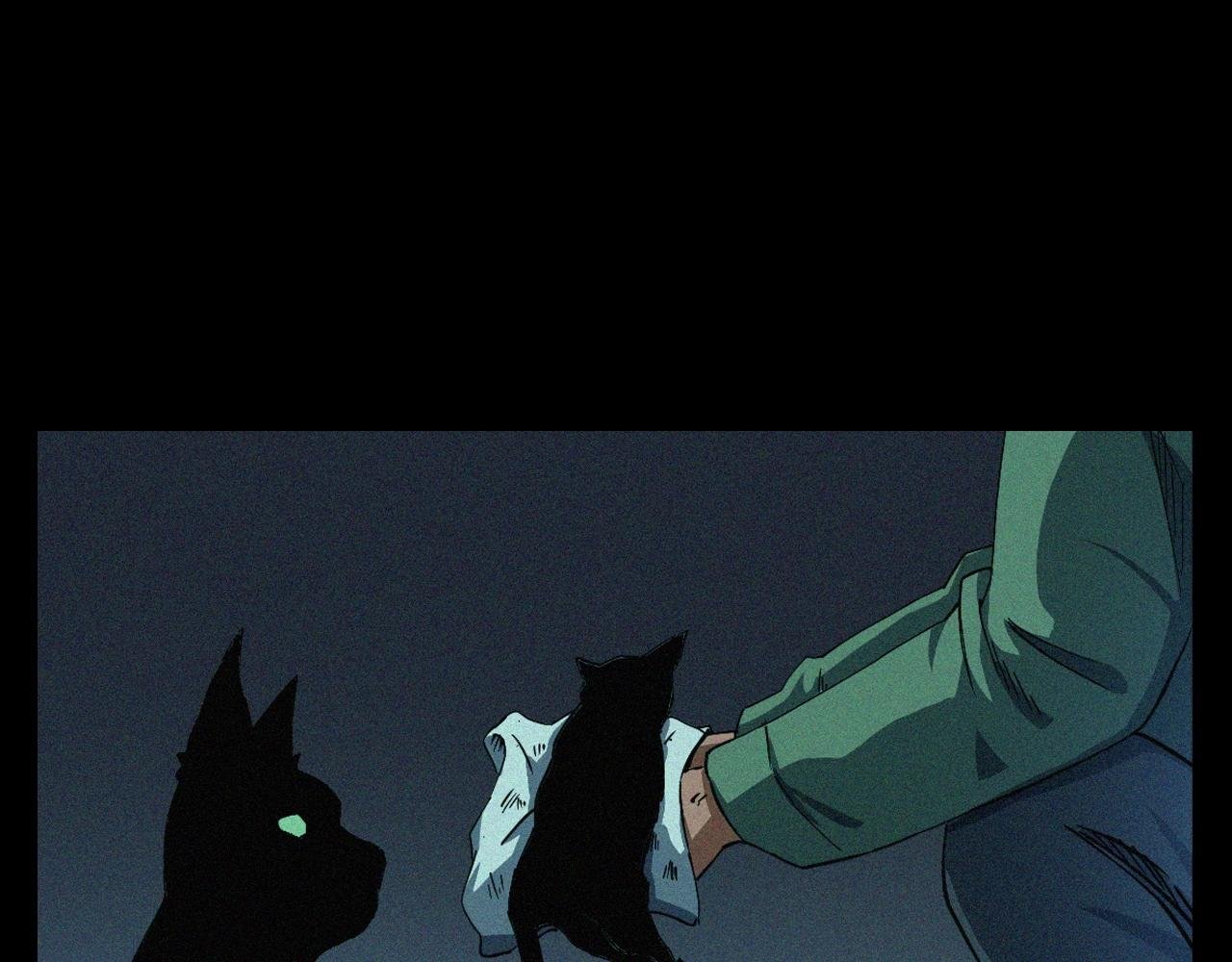 第403话 路遇黑猫