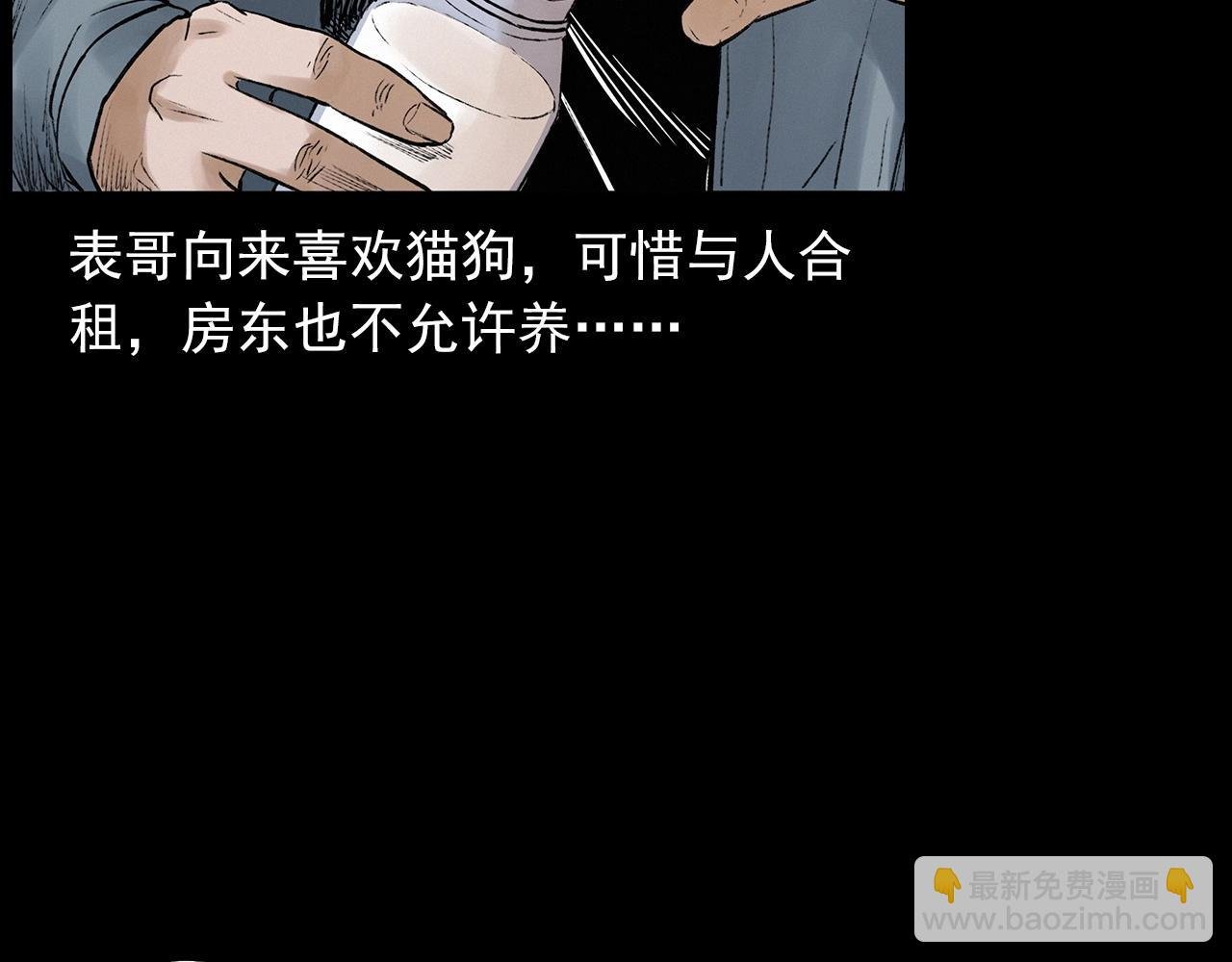 第412话 双瞳猫
