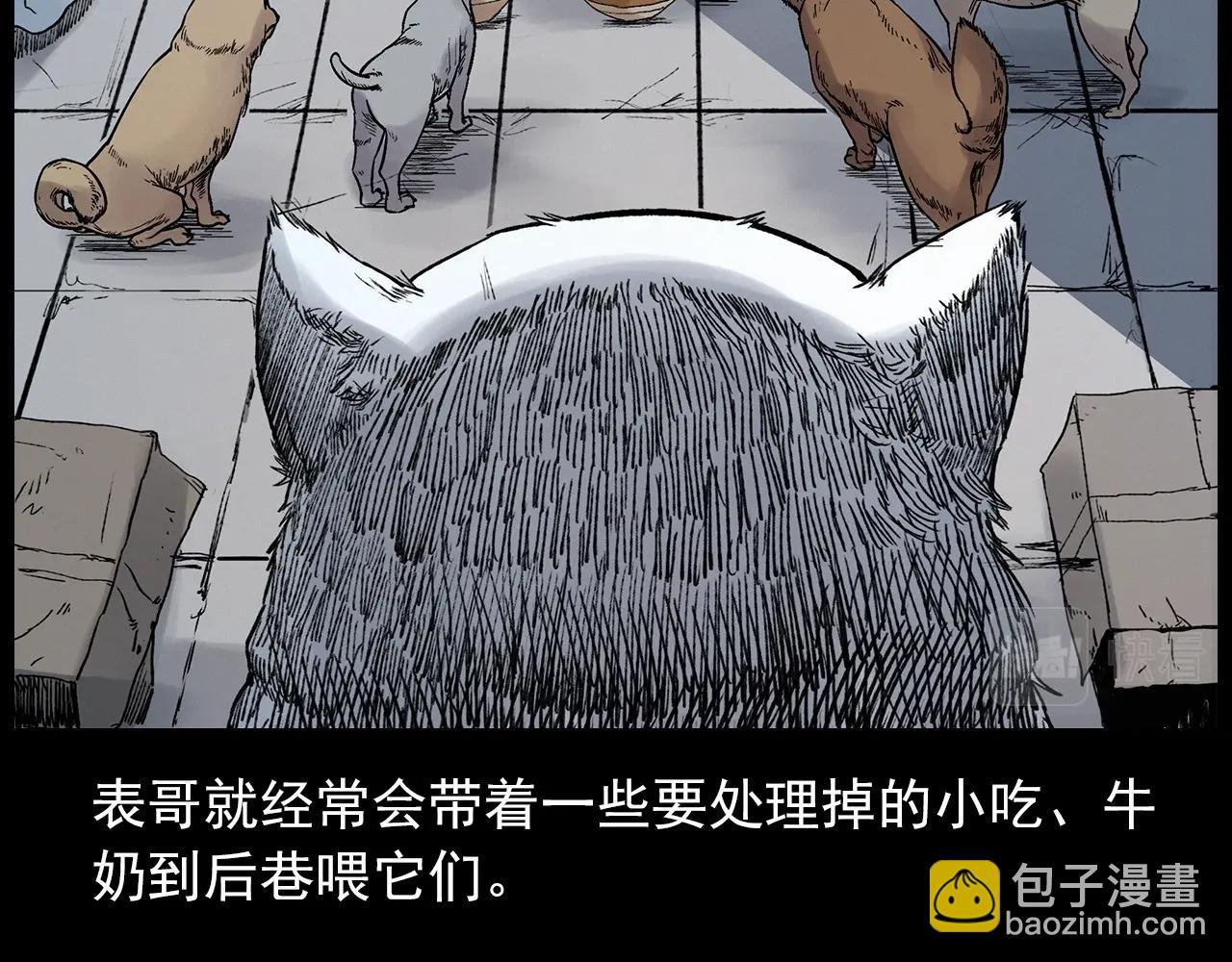 第412话 双瞳猫