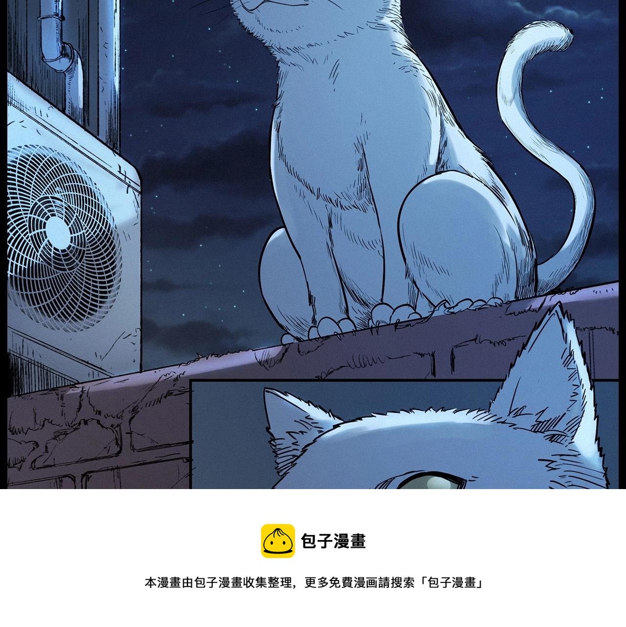 第412话 双瞳猫