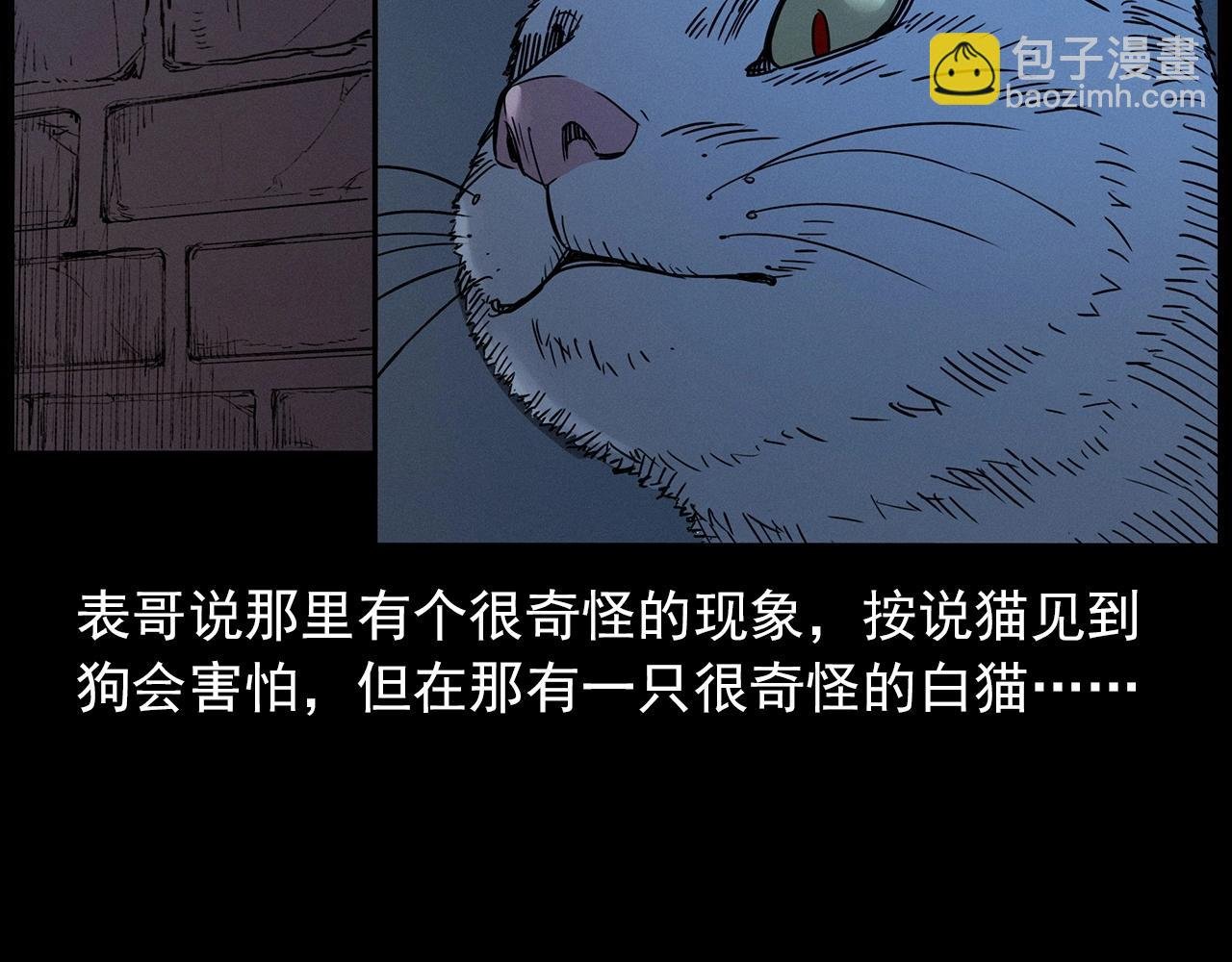 第412话 双瞳猫