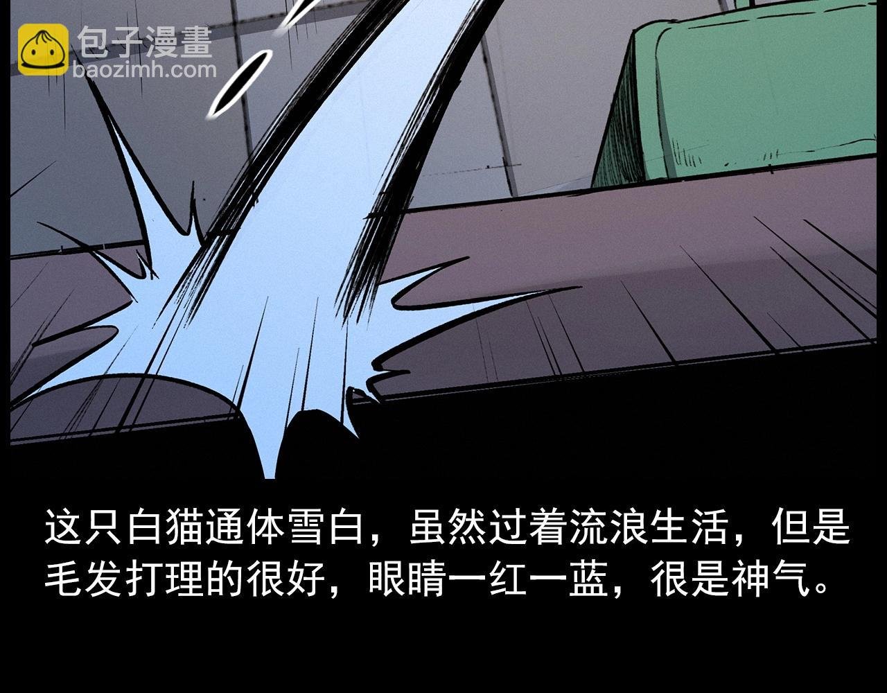 第412话 双瞳猫