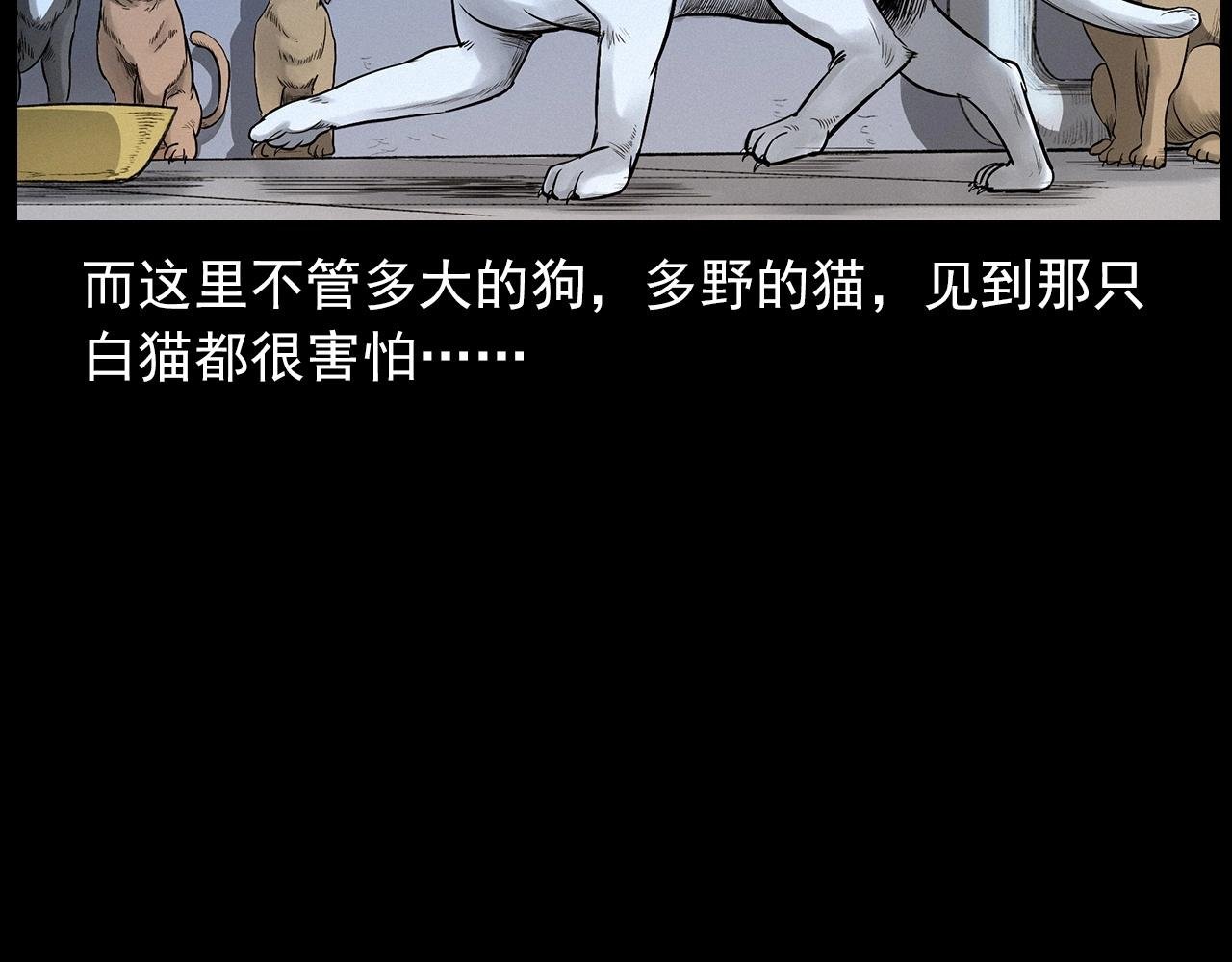 第412话 双瞳猫