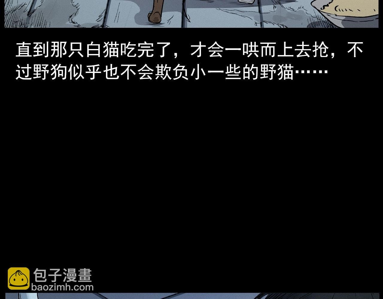 第412话 双瞳猫