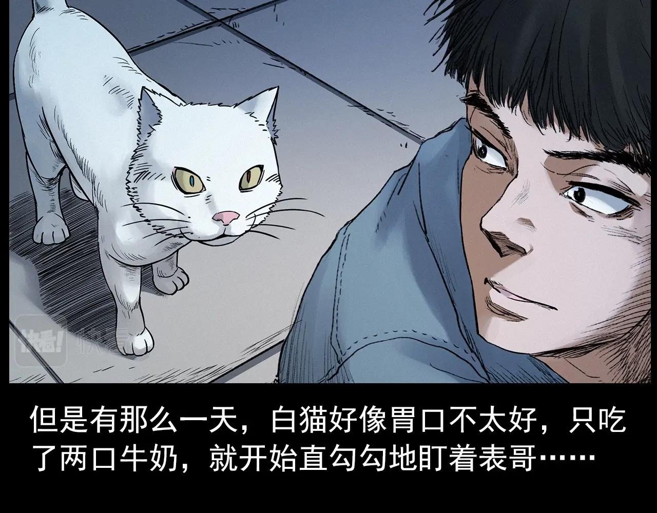 第412话 双瞳猫