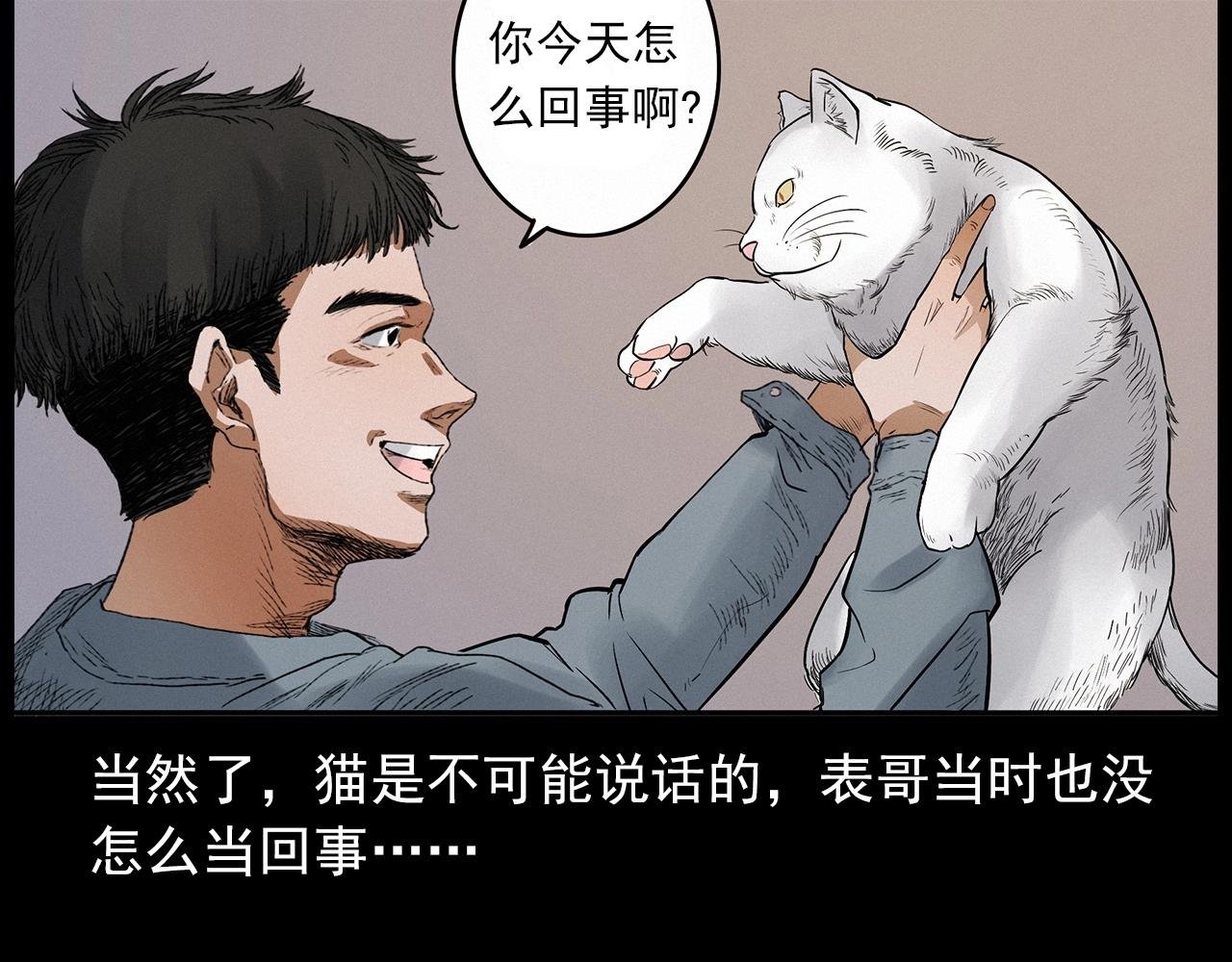 第412话 双瞳猫