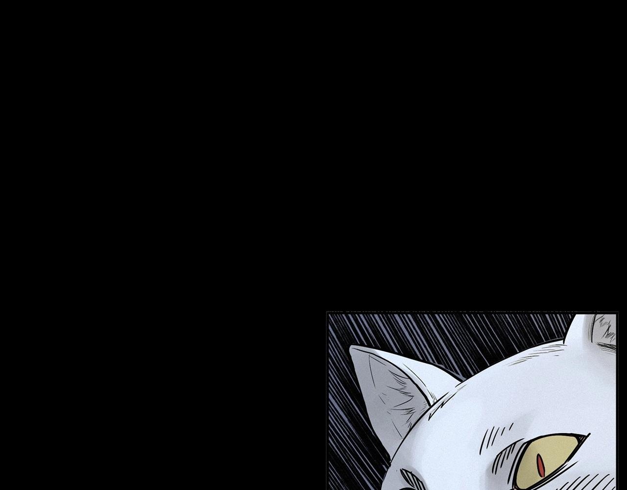 第412话 双瞳猫